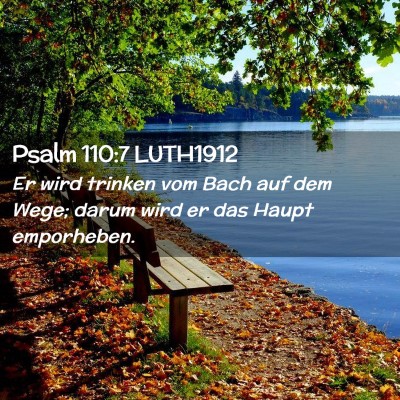Picture 02 - Psalm 110:7 LUTH1912 - Er wird trinken vom Bach auf dem Wege; darum wird - Bible Verse Picture
