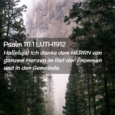 Picture 02 - Psalm 111:1 LUTH1912 - Halleluja! Ich danke dem HERRN von ganzem Herzen - Bible Verse Picture