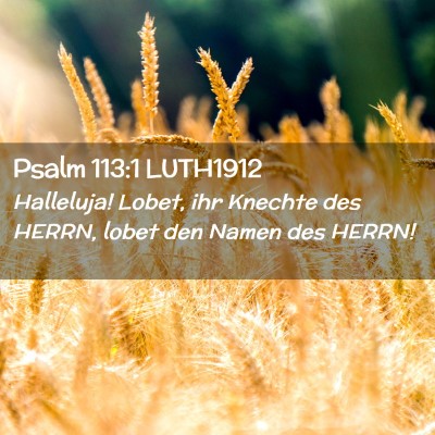Picture 02 - Psalm 113:1 LUTH1912 - Halleluja! Lobet, ihr Knechte des HERRN, lobet - Bible Verse Picture