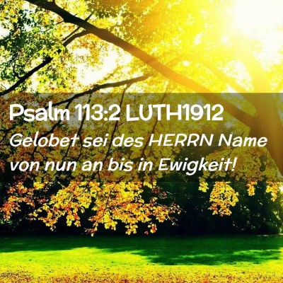 Picture 02 - Psalm 113:2 LUTH1912 - Gelobet sei des HERRN Name von nun an bis in - Bible Verse Picture