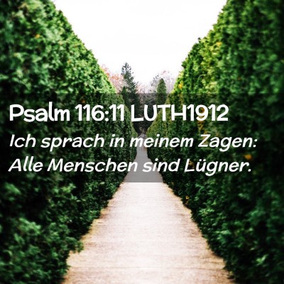 Picture 02 - Psalm 116:11 LUTH1912 - Ich sprach in meinem Zagen: Alle Menschen sind - Bible Verse Picture