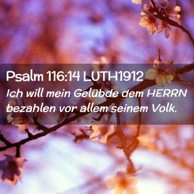 Picture 02 - Psalm 116:14 LUTH1912 - Ich will mein Gelübde dem HERRN bezahlen vor - Bible Verse Picture