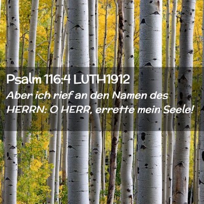 Picture 02 - Psalm 116:4 LUTH1912 - Aber ich rief an den Namen des HERRN: O HERR, - Bible Verse Picture
