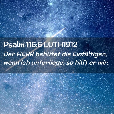 Picture 02 - Psalm 116:6 LUTH1912 - Der HERR behütet die Einfältigen; wenn ich - Bible Verse Picture