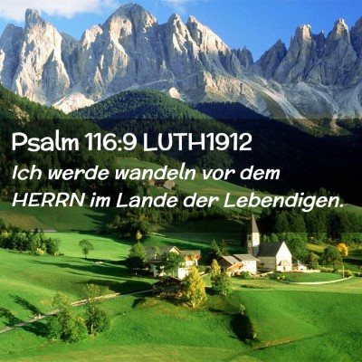 Picture 02 - Psalm 116:9 LUTH1912 - Ich werde wandeln vor dem HERRN im Lande der - Bible Verse Picture