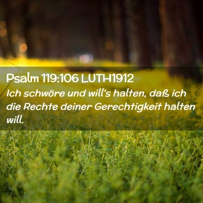 Picture 02 - Psalm 119:106 LUTH1912 - Ich schwöre und will's halten, daß ich die - Bible Verse Picture