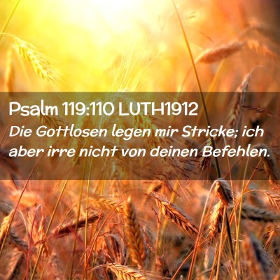 Picture 02 - Psalm 119:110 LUTH1912 - Die Gottlosen legen mir Stricke; ich aber irre - Bible Verse Picture