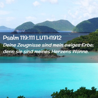 Picture 02 - Psalm 119:111 LUTH1912 - Deine Zeugnisse sind mein ewiges Erbe; denn sie - Bible Verse Picture
