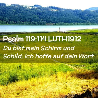 Picture 02 - Psalm 119:114 LUTH1912 - Du bist mein Schirm und Schild; ich hoffe auf - Bible Verse Picture