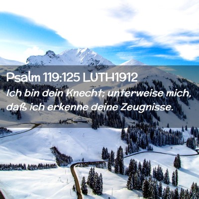 Picture 02 - Psalm 119:125 LUTH1912 - Ich bin dein Knecht; unterweise mich, daß ich - Bible Verse Picture