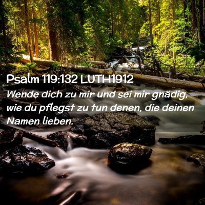 Picture 02 - Psalm 119:132 LUTH1912 - Wende dich zu mir und sei mir gnädig, wie du - Bible Verse Picture
