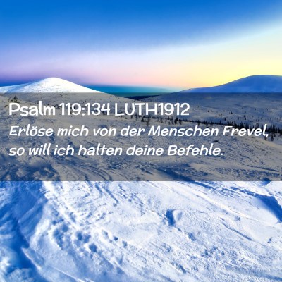 Picture 02 - Psalm 119:134 LUTH1912 - Erlöse mich von der Menschen Frevel, so will ich - Bible Verse Picture