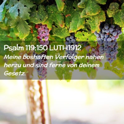 Picture 02 - Psalm 119:150 LUTH1912 - Meine boshaften Verfolger nahen herzu und sind - Bible Verse Picture