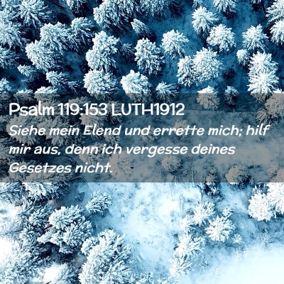 Picture 02 - Psalm 119:153 LUTH1912 - Siehe mein Elend und errette mich; hilf mir aus, - Bible Verse Picture