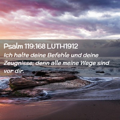 Picture 02 - Psalm 119:168 LUTH1912 - Ich halte deine Befehle und deine Zeugnisse; denn - Bible Verse Picture