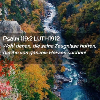 Picture 02 - Psalm 119:2 LUTH1912 - Wohl denen, die seine Zeugnisse halten, die ihn - Bible Verse Picture