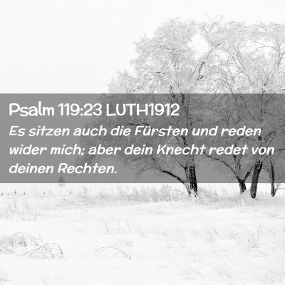 Picture 02 - Psalm 119:23 LUTH1912 - Es sitzen auch die Fürsten und reden wider mich; - Bible Verse Picture