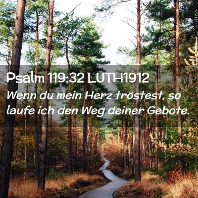 Picture 02 - Psalm 119:32 LUTH1912 - Wenn du mein Herz tröstest, so laufe ich den Weg - Bible Verse Picture