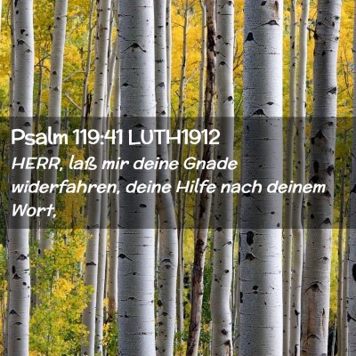 Picture 02 - Psalm 119:41 LUTH1912 - HERR, laß mir deine Gnade widerfahren, deine - Bible Verse Picture