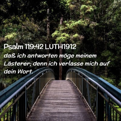 Picture 02 - Psalm 119:42 LUTH1912 - daß ich antworten möge meinem Lästerer; denn - Bible Verse Picture