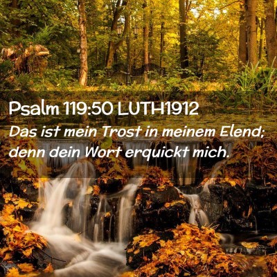 Picture 02 - Psalm 119:50 LUTH1912 - Das ist mein Trost in meinem Elend; denn dein - Bible Verse Picture