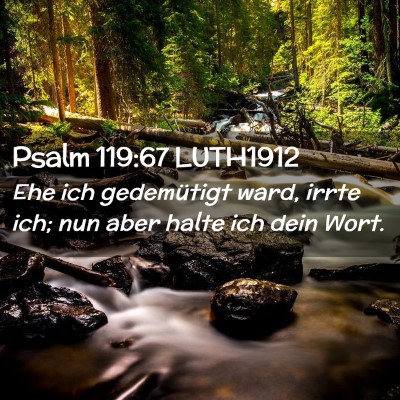 Picture 02 - Psalm 119:67 LUTH1912 - Ehe ich gedemütigt ward, irrte ich; nun aber - Bible Verse Picture