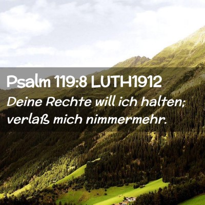 Picture 02 - Psalm 119:8 LUTH1912 - Deine Rechte will ich halten; verlaß mich - Bible Verse Picture