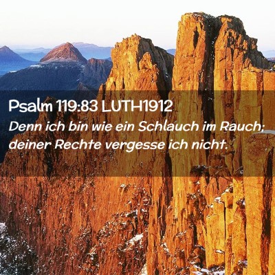 Picture 02 - Psalm 119:83 LUTH1912 - Denn ich bin wie ein Schlauch im Rauch; deiner - Bible Verse Picture