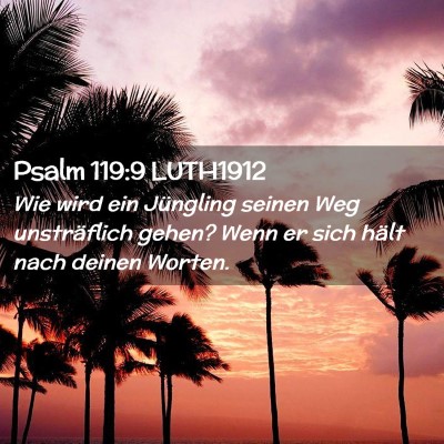Picture 02 - Psalm 119:9 LUTH1912 - Wie wird ein Jüngling seinen Weg unsträflich - Bible Verse Picture