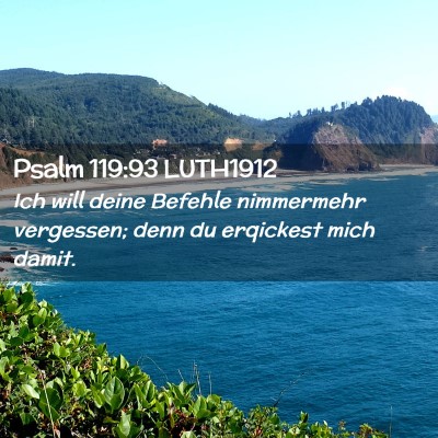 Picture 02 - Psalm 119:93 LUTH1912 - Ich will deine Befehle nimmermehr vergessen; denn - Bible Verse Picture