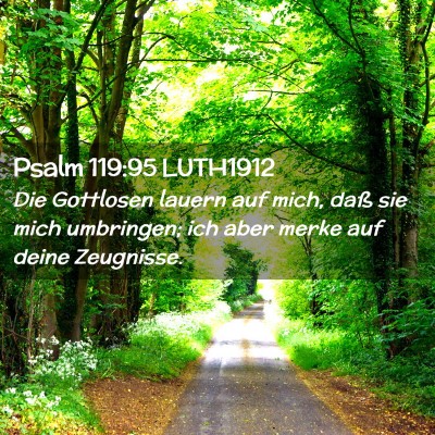 Picture 02 - Psalm 119:95 LUTH1912 - Die Gottlosen lauern auf mich, daß sie mich - Bible Verse Picture