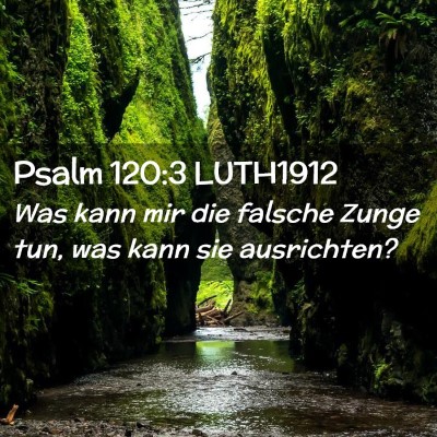 Picture 02 - Psalm 120:3 LUTH1912 - Was kann mir die falsche Zunge tun, was kann sie - Bible Verse Picture