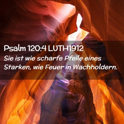 Picture 02 - Psalm 120:4 LUTH1912 - Sie ist wie scharfe Pfeile eines Starken, wie - Bible Verse Picture