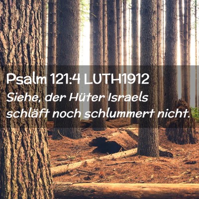 Picture 02 - Psalm 121:4 LUTH1912 - Siehe, der Hüter Israels schläft noch - Bible Verse Picture
