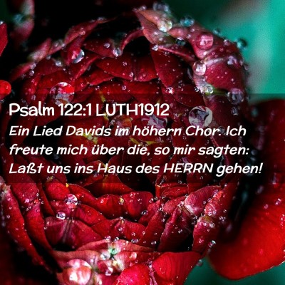 Picture 02 - Psalm 122:1 LUTH1912 - Ein Lied Davids im höhern Chor. Ich freute mich - Bible Verse Picture