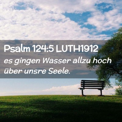 Picture 02 - Psalm 124:5 LUTH1912 - es gingen Wasser allzu hoch über unsre - Bible Verse Picture