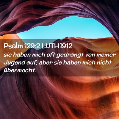 Picture 02 - Psalm 129:2 LUTH1912 - sie haben mich oft gedrängt von meiner Jugend - Bible Verse Picture