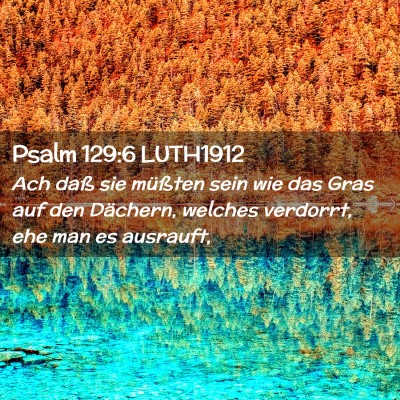 Picture 02 - Psalm 129:6 LUTH1912 - Ach daß sie müßten sein wie das Gras auf den - Bible Verse Picture