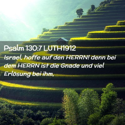 Picture 02 - Psalm 130:7 LUTH1912 - Israel, hoffe auf den HERRN! denn bei dem HERRN - Bible Verse Picture