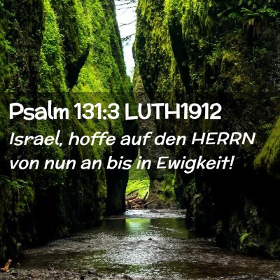Picture 02 - Psalm 131:3 LUTH1912 - Israel, hoffe auf den HERRN von nun an bis in - Bible Verse Picture