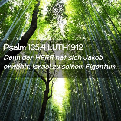 Picture 02 - Psalm 135:4 LUTH1912 - Denn der HERR hat sich Jakob erwählt, Israel zu - Bible Verse Picture