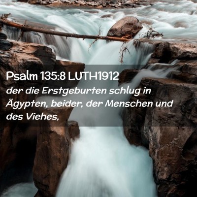 Picture 02 - Psalm 135:8 LUTH1912 - der die Erstgeburten schlug in Ägypten, beider, - Bible Verse Picture