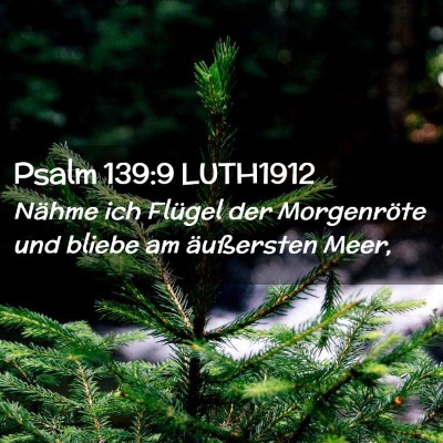 Picture 02 - Psalm 139:9 LUTH1912 - Nähme ich Flügel der Morgenröte und bliebe am - Bible Verse Picture