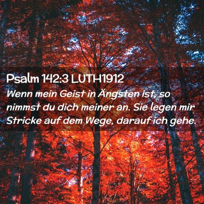 Picture 02 - Psalm 142:3 LUTH1912 - Wenn mein Geist in Ängsten ist, so nimmst du - Bible Verse Picture