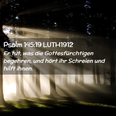Picture 02 - Psalm 145:19 LUTH1912 - Er tut, was die Gottesfürchtigen begehren, und - Bible Verse Picture