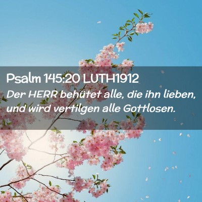 Picture 02 - Psalm 145:20 LUTH1912 - Der HERR behütet alle, die ihn lieben, und wird - Bible Verse Picture