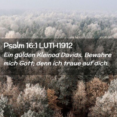 Picture 02 - Psalm 16:1 LUTH1912 - Ein gülden Kleinod Davids. Bewahre mich Gott; - Bible Verse Picture
