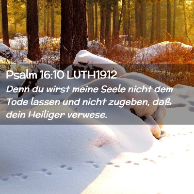 Picture 02 - Psalm 16:10 LUTH1912 - Denn du wirst meine Seele nicht dem Tode lassen - Bible Verse Picture