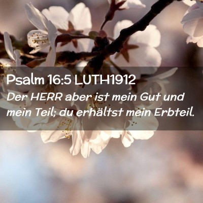Picture 02 - Psalm 16:5 LUTH1912 - Der HERR aber ist mein Gut und mein Teil; du - Bible Verse Picture