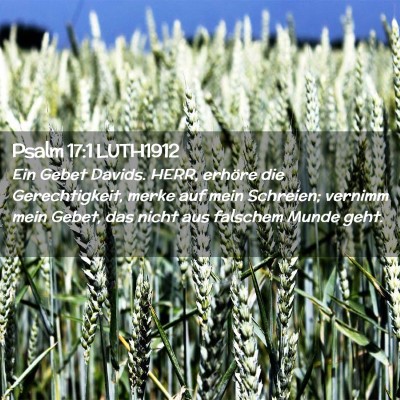 Picture 02 - Psalm 17:1 LUTH1912 - Ein Gebet Davids. HERR, erhöre die - Bible Verse Picture